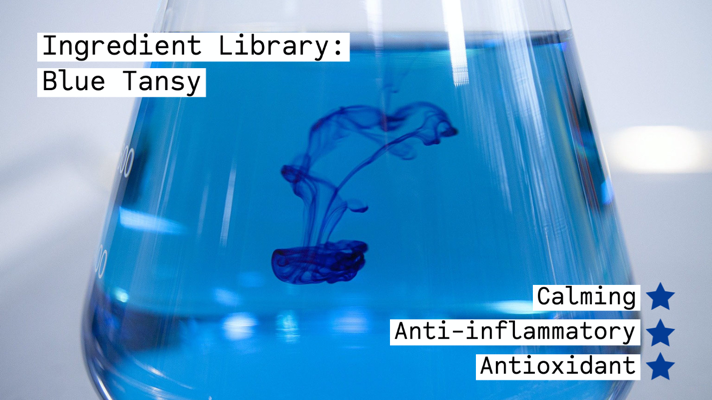 Blue Tansy for Sensitive Skin Calming Skincare Ingredient