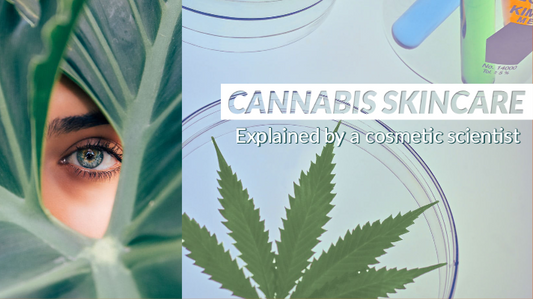 Cannabis Skincare Ingredients Cannabidiol Hemp Seed Oil Extract