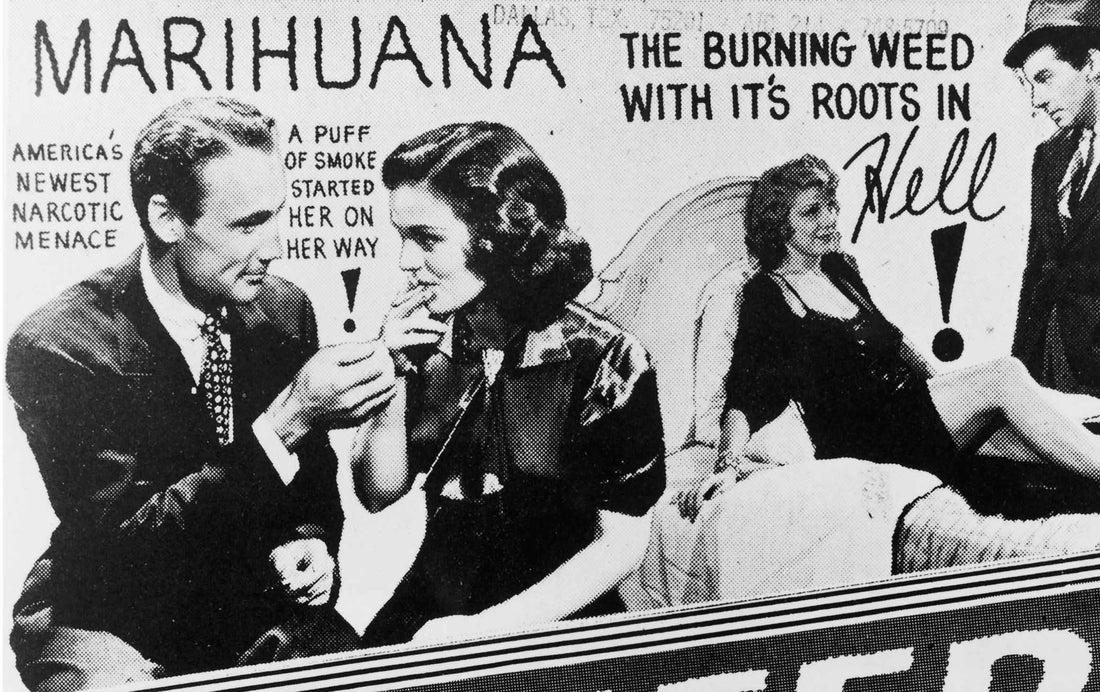 Reefer Madness Cannabis Propaganda History