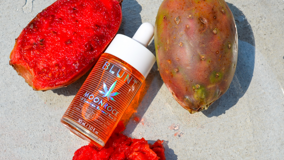 Pricky Pear Seed Oil Is Going to Be Your New Skincare Obsession