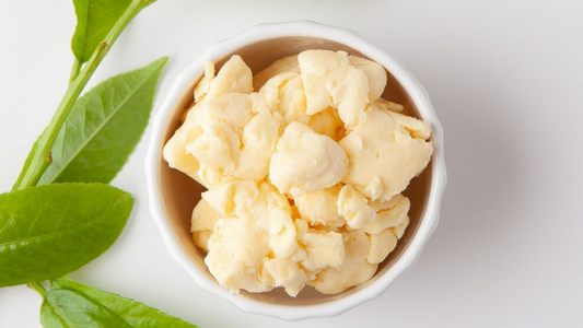 Cupuacu Butter Skin Benefits Brazilian Beauty Secrets